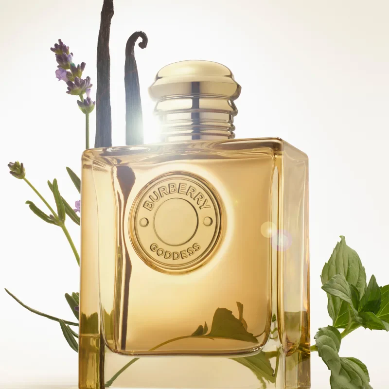 Burberry goddess intense - Image 5