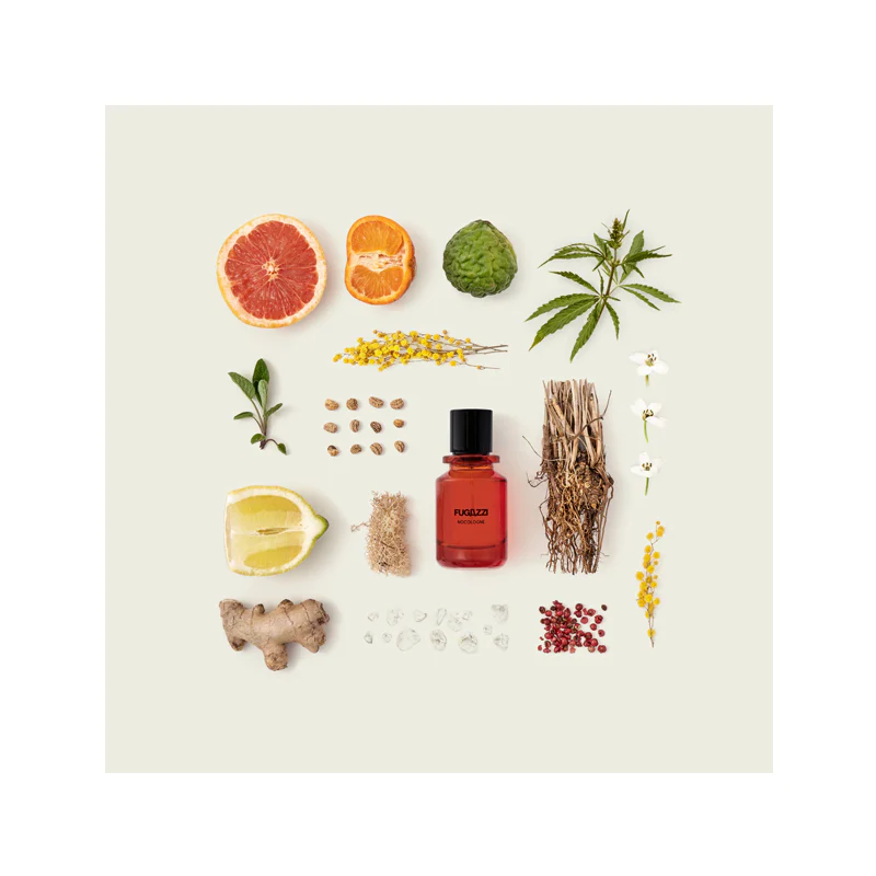 Fugazzi Nocologne - Image 2