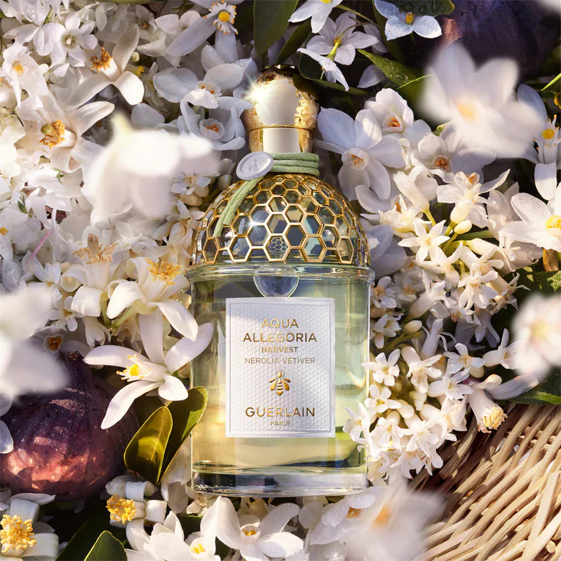 Guerlain Aqua Allegoria Nerolia Vetiver Harvest - Image 3