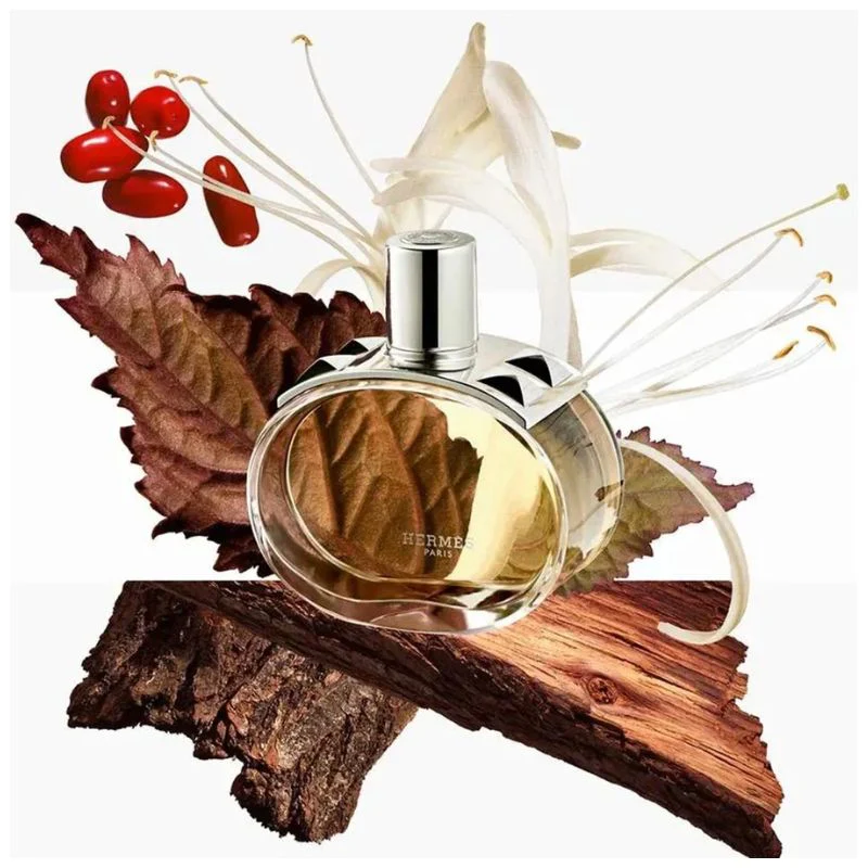 Hermes Barenia - Image 4