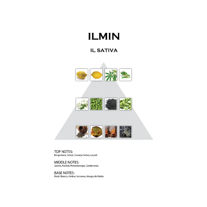 ILMIN IL SATIVA - Image 2