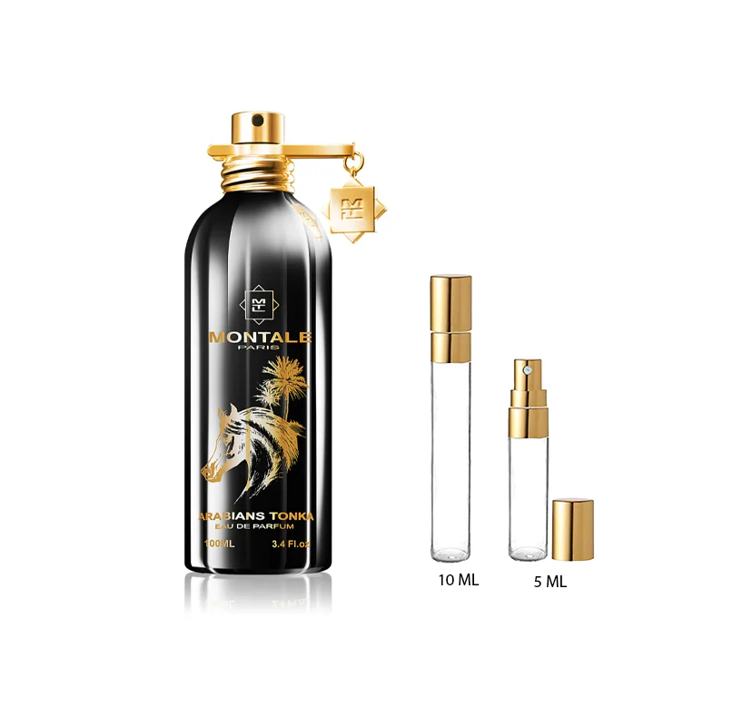 Montale Arabians Tonka - Image 3