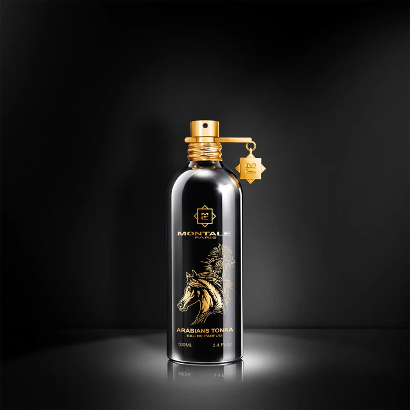 Montale Arabians Tonka - Image 7