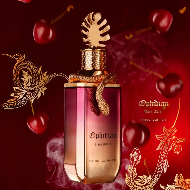 Paris Corner Ophidian Black Cherry - Image 4
